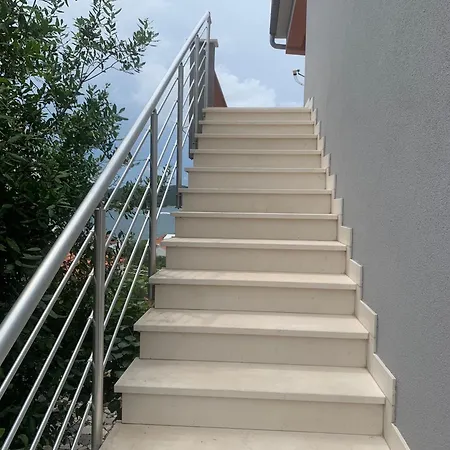 Vujica
